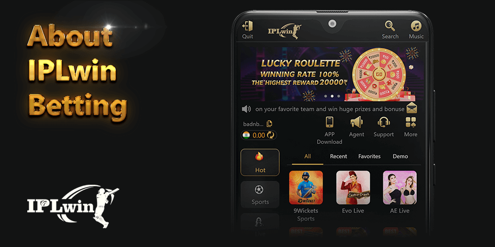 Bitbet24.com